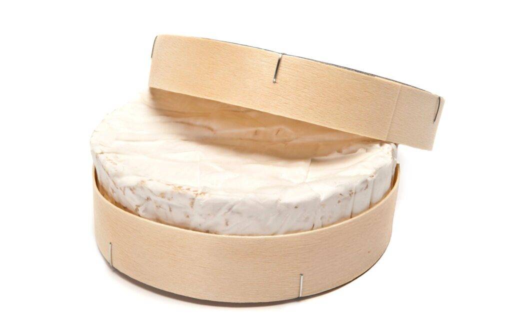 camembert