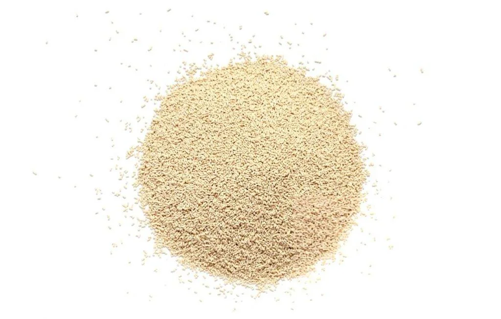 8g de levure sèche active